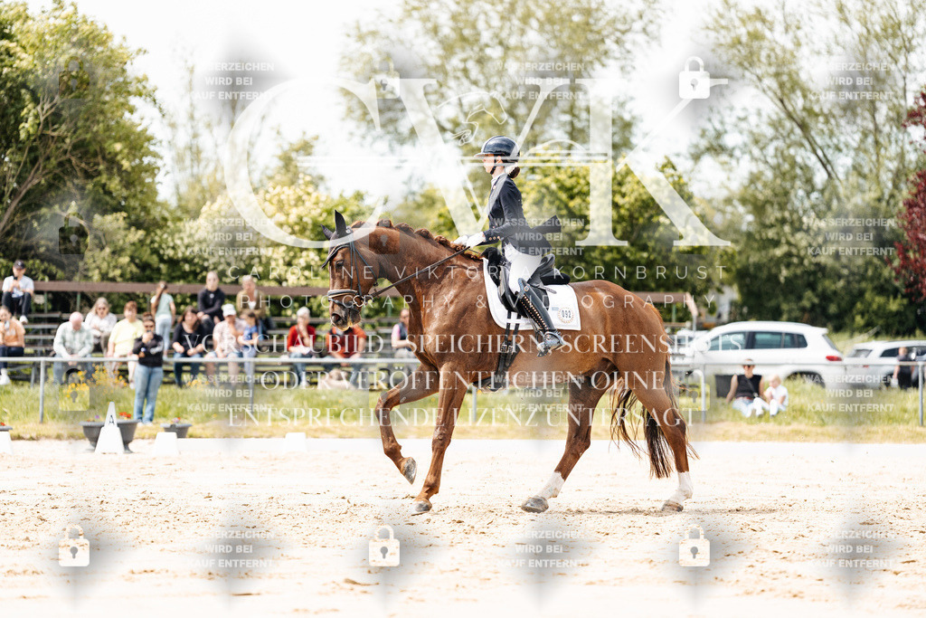 CK902134 | Turnierfotografie Pferdefotografie Trier Rheinland-Pfalz Pferdesport Reitsport Tierfotografie Sportfotografie Pferdevideo Pferdevideografie Equestrianvideography equestrianphotography  - Realisiert mit Pictrs.com
