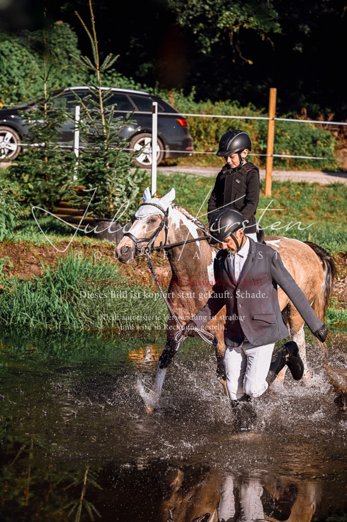DSC_0337 | Pferde- und Turnierfotografie in Westsachsen. Pferdeportraits, Auftragszeichnungen und intuitive Kunst.