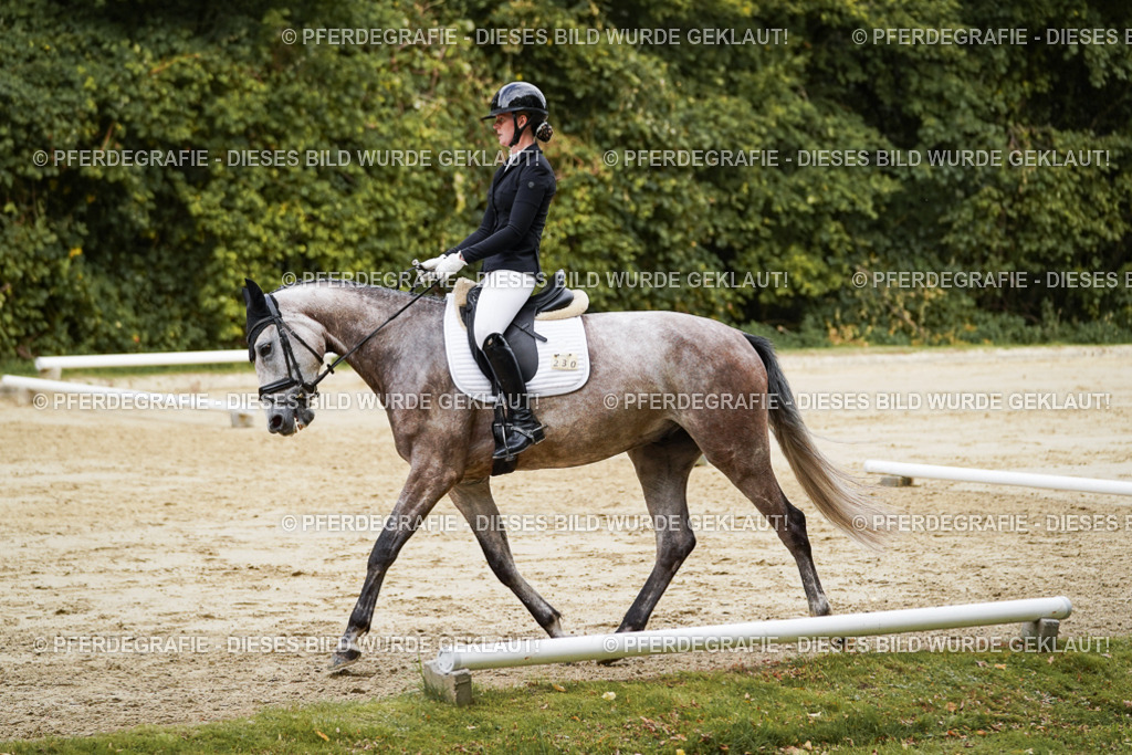 DSC00713 | Pferdegrafie