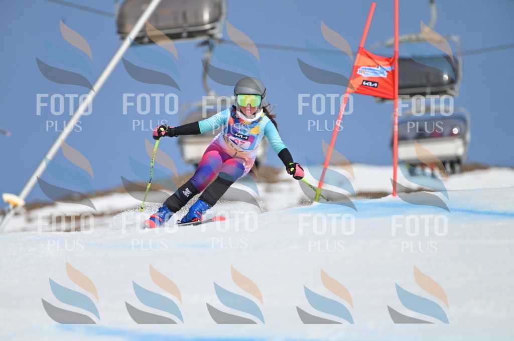 BGV_9387 | holidayphoto