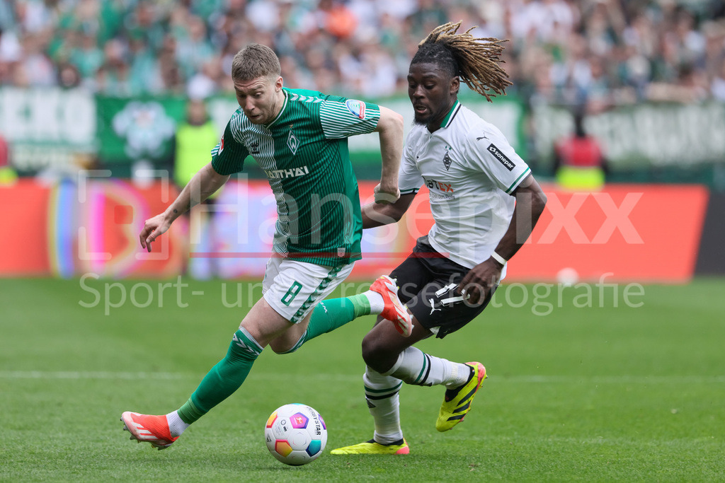 Fussball, Bundesliga, SV Werder Bremen - Borussia Mönchengladbach | v.li.: Mitchell Weiser (SV Werder Bremen, 8) und Kouadio Kone (Borussia Mönchengladbach, 17) im Zweikampf, Duell, Dynamik, Aktion, Action, Spielszene, DIE DFL-RICHTLINIEN UNTERSAGEN JEGLICHE NUTZUNG VON FOTOS ALS SEQUENZBILDER UND/ODER VIDEOÄHNLICHE FOTOSTRECKEN. DFL REGULATIONS PROHIBIT ANY USE OF PHOTOGRAPHS AS IMAGE SEQUENCES AND/OR QUASI-VIDEO.