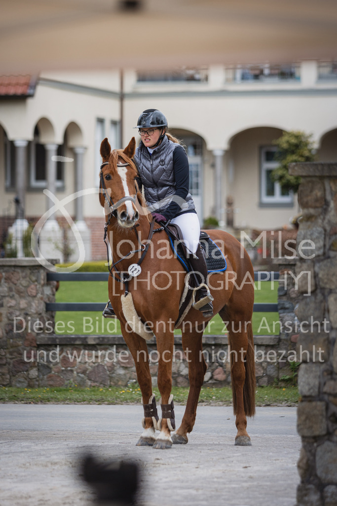 230426_HofSosath_2Ph-L-Spr-864 | Deine schönsten Turniermomente als professionelle Fotos! Entdecke hochwertige Pferdesport-Fotografie im Online-Shop. Jetzt Fotos finden & bestellen!