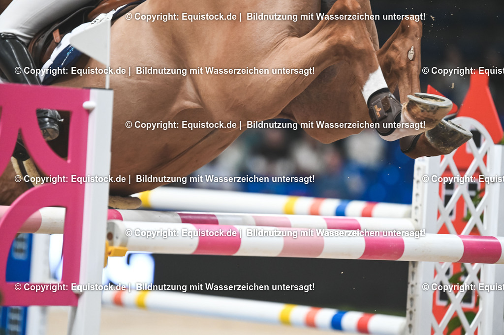 20251113_Impressionen_TOMSPIC_0029 | Foto: Thomas Hartig