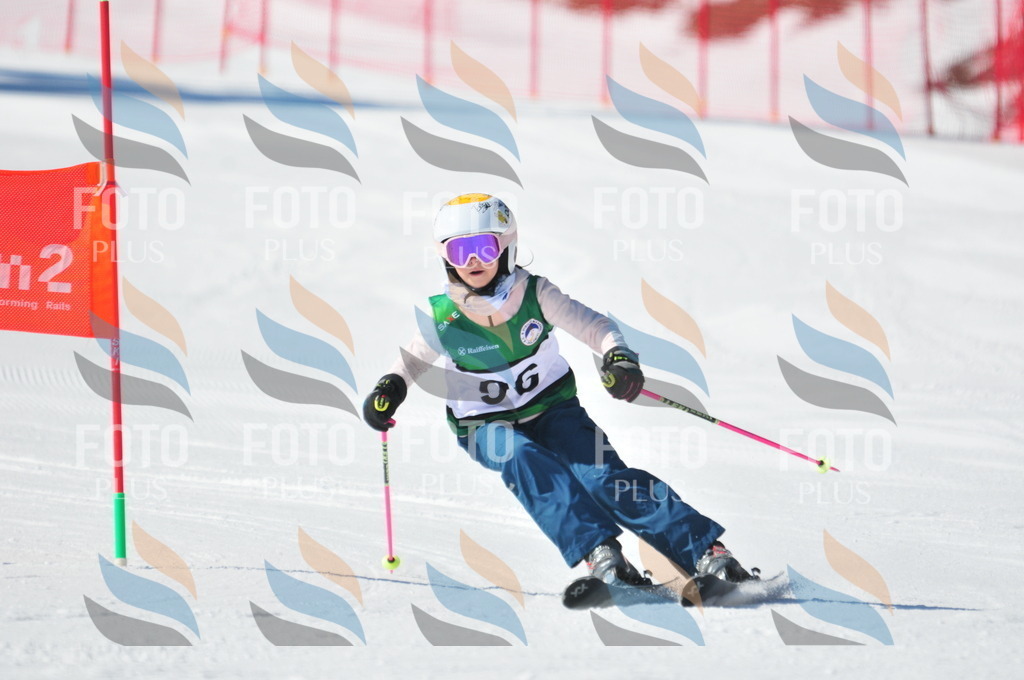 C3237 | holidayphoto