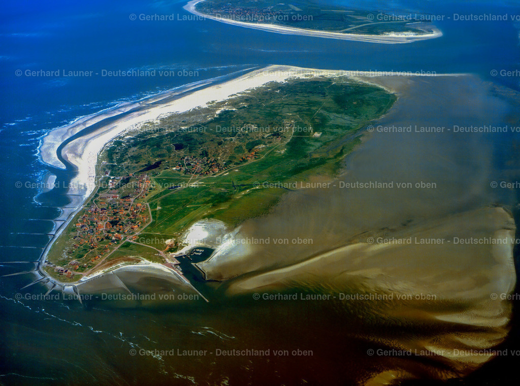 7000913 | Baltrum,Nationalpark Niedersächisches Wattenmeer