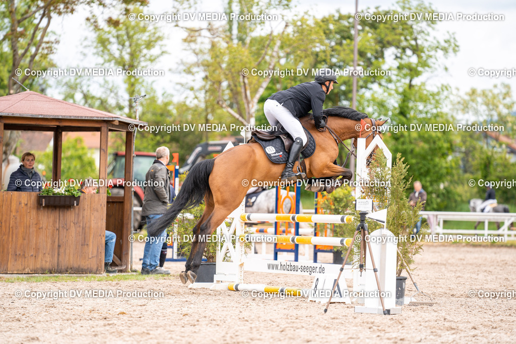 Eppelheim Tag 1-91 | dv-media-shop - Realisiert mit Pictrs.com