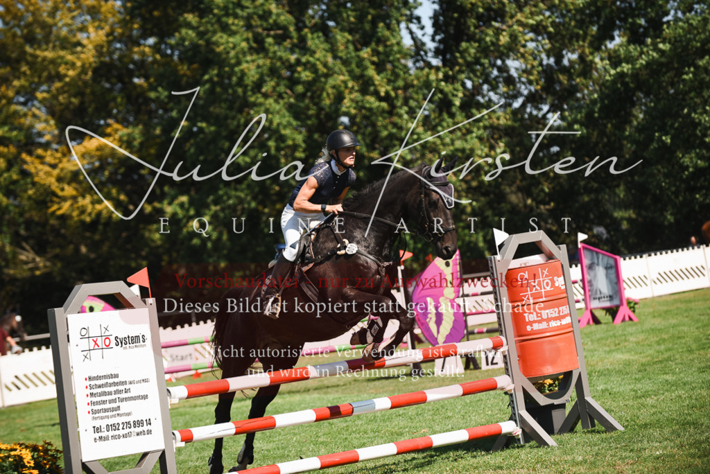 DSC_2777 | Pferde- und Turnierfotografie in Westsachsen. Pferdeportraits, Auftragszeichnungen und intuitive Kunst.