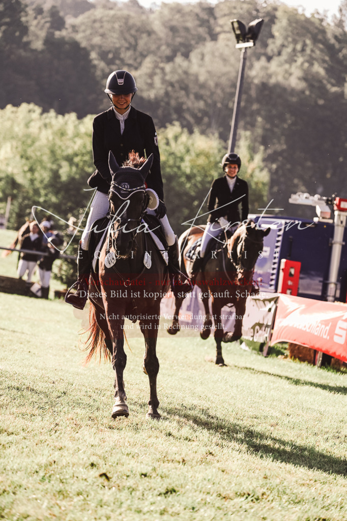 DSC_4644 | Pferde- und Turnierfotografie in Westsachsen. Pferdeportraits, Auftragszeichnungen und intuitive Kunst.
