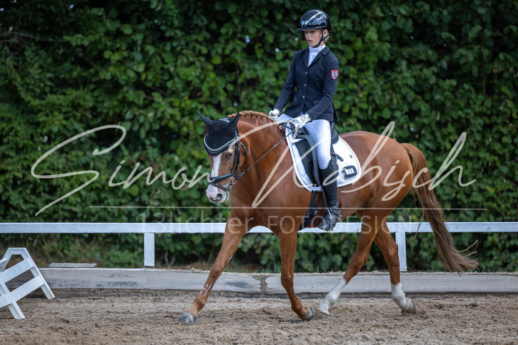 20260905-_3LI8226 | Tierfotografie Pferde, Hunde, Katzen, Haustiere.
Turnierfotografie Reitturniere, Reiten, Springreiten, Dressur in Hanau, dem Main-Kinzig-Kreis und dem Rhein-Main- Gebiet um Frankfurt