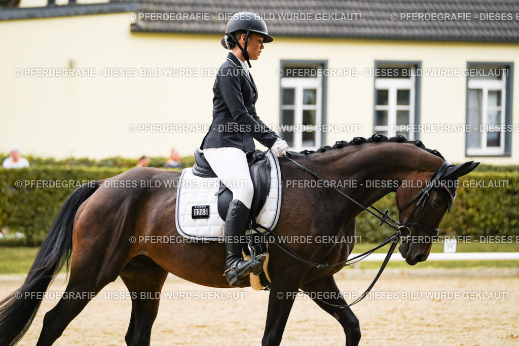 DSC09923 | Pferdegrafie