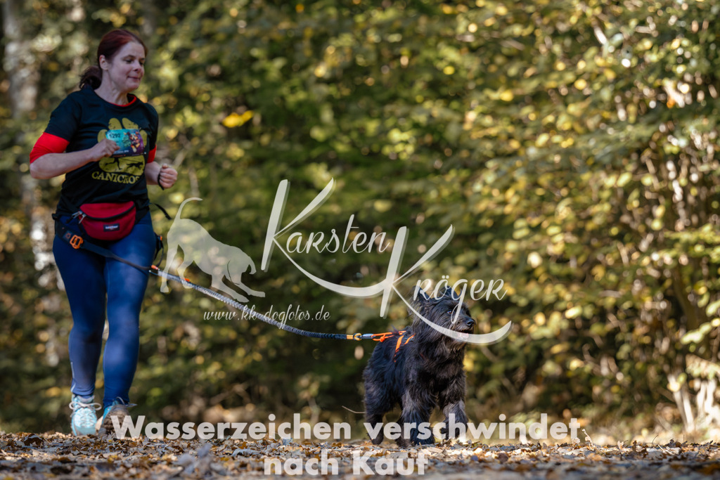 1137_ZZ92880 | kk-dogfotos