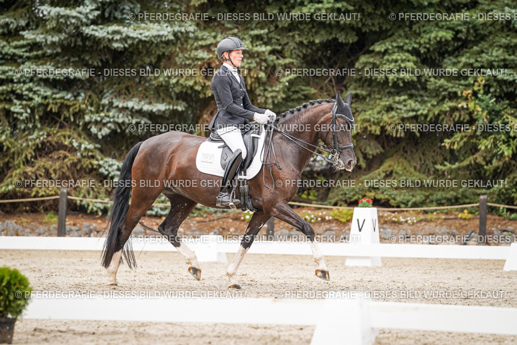 DSC07668 | Pferdegrafie