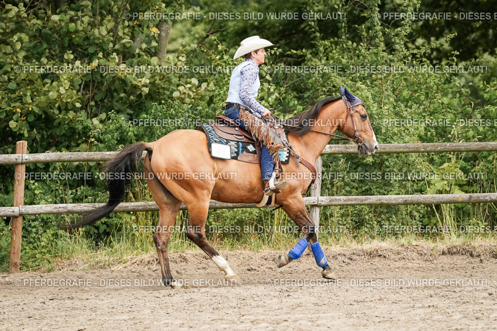 DSC09253 | Pferdegrafie