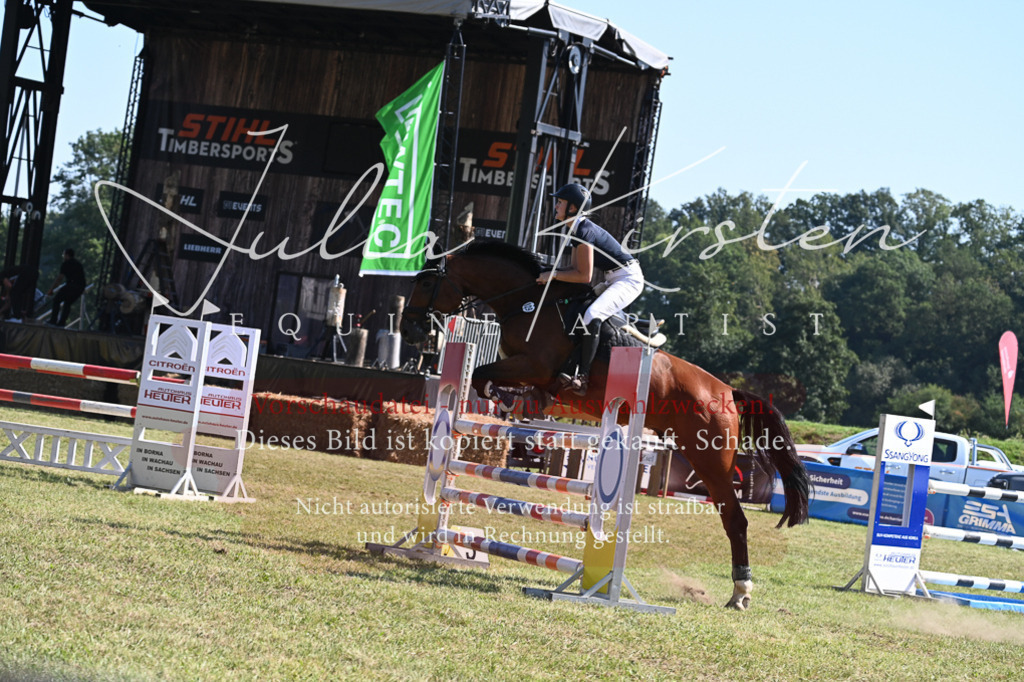 DSC_6429 | Pferde- und Turnierfotografie in Westsachsen. Pferdeportraits, Auftragszeichnungen und intuitive Kunst.