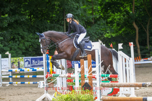 DKP44979 | Turnierfotos kaufen im Webshop von Daniel Kuhl Photography – entdecke professionelle Reitsportfotos aus Turnieren & Events. Hochwertige Turnierbilder online bestellen & sichern. Jetzt Fotos von Reitsportturnieren kaufen!