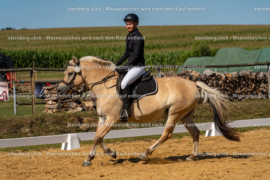 2026-08-09_09-29-33_WBO_Pulsnitz | sternberg.click - Realisiert mit Pictrs.com