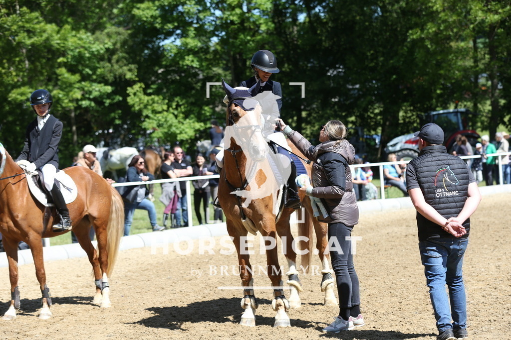 DL2Q0943 | Willkommen bei Brunnmayr - Design & Fotografie – Ihrem Spezialisten für Reitturniere und Pferdeveranstaltungen in Oberösterreich, Salzburg und Bayern! Seit über 17 Jahren sind wir leidenschaftlich dabei.
