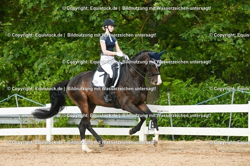 20230716_01_Dressurprüfung Kl.M_0499 | equistock