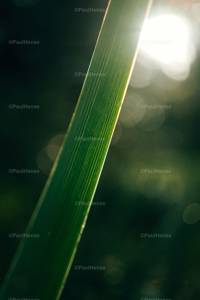 20221020_PaulHense_S0022_DSC00063 | paulhense - Realisiert mit Pictrs.com