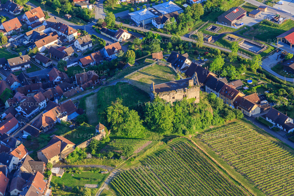 Luftbild: Ruine des Schloss Burkheim über dem Weinberg im Ortsteil Burkheim in Vogtsburg im Bundesland Baden-Württemberg in Deutschland. Foto: IMG_147895.jpg vom 30.05.2025 durch Werner Riehm/FLY-FOTO.deSCHLOSS-BURKHEIM.DE