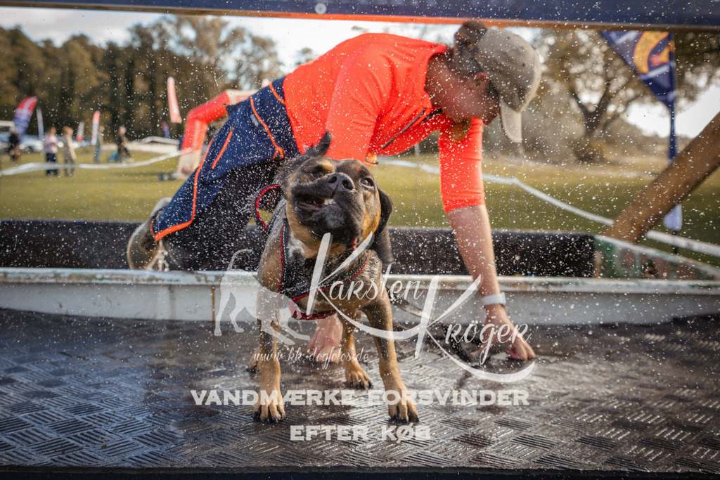 1311_ZZ99494-2 | kk-dogfotos