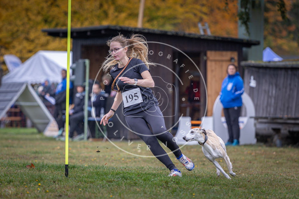 Pfotenfotografie_DV3A0706 | Hundefotografie, Tierfotograf, Pfotenfotografie, Fotoshooting Hund, Hunde Portrait, Hundesport, Hundeportraits, Heideshooting, Hunde, Sportfotograf, Hundefotograf, Turnierhundsport, THS,  - Realisiert mit Pictrs.com