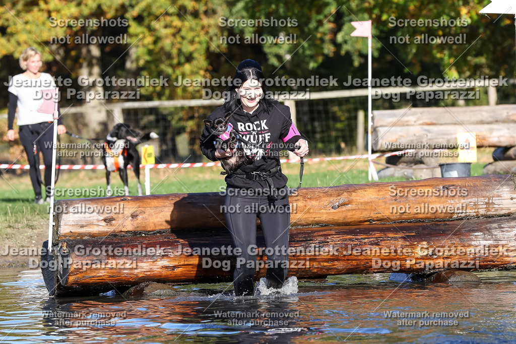 Dog Paparazzi - Strongdog 10-25-8763 | Dog Paparazzi Jeanette Grottendiek Fotografie & Videografie - Realisiert mit Pictrs.com