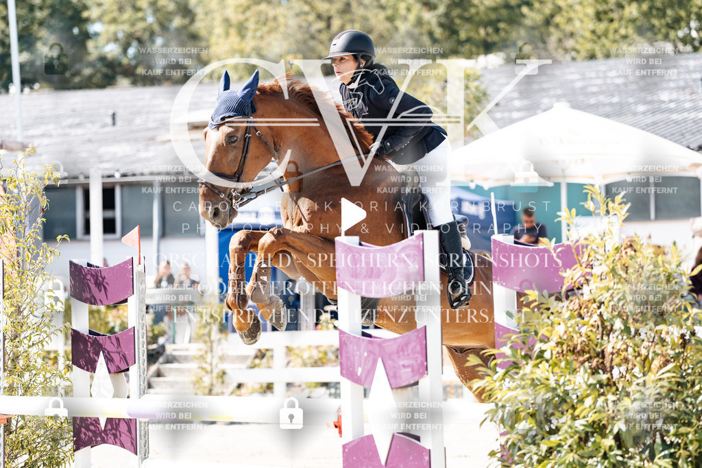 CK908430 | Turnierfotografie Pferdefotografie Trier Rheinland-Pfalz Pferdesport Reitsport Tierfotografie Sportfotografie Pferdevideo Pferdevideografie Equestrianvideography equestrianphotography  - Realisiert mit Pictrs.com