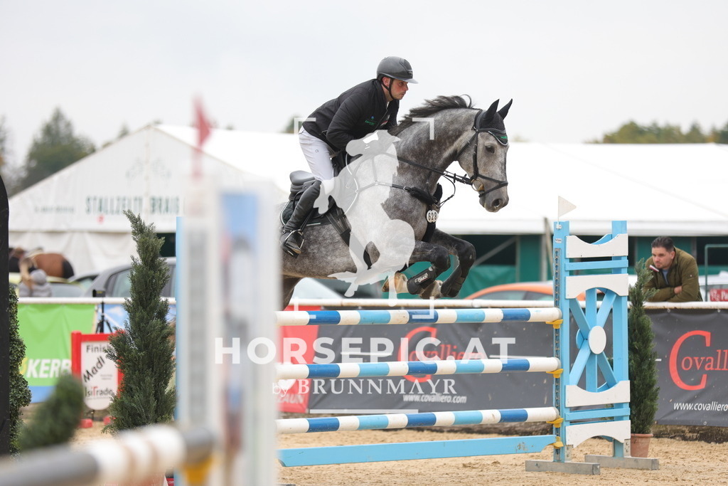 0P6A1788 | Willkommen bei Brunnmayr - Design & Fotografie – Ihrem Spezialisten für Reitturniere und Pferdeveranstaltungen in Oberösterreich, Salzburg und Bayern! Seit über 17 Jahren sind wir leidenschaftlich dabei.