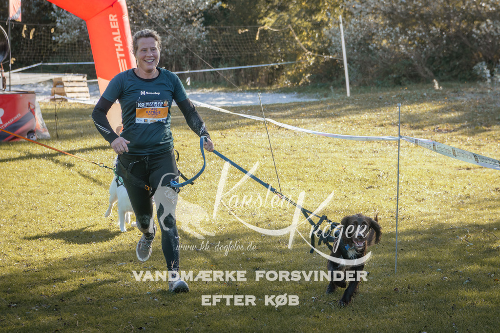 1221_ZZ95656 | kk-dogfotos