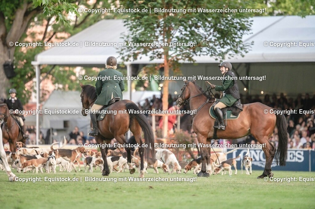 20230526_Pferdenacht_0548 | equistock