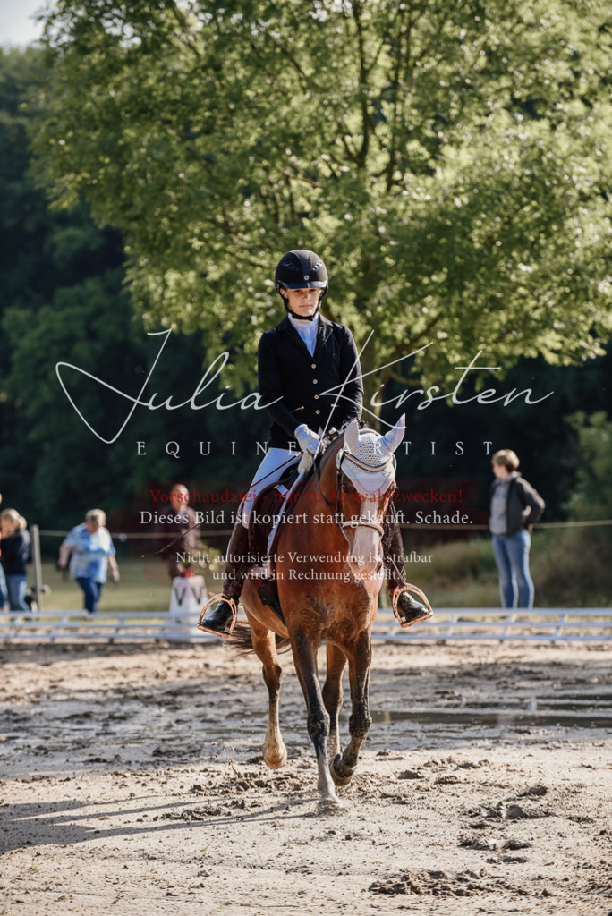 DSC_7795 | Pferde- und Turnierfotografie in Westsachsen. Pferdeportraits, Auftragszeichnungen und intuitive Kunst.