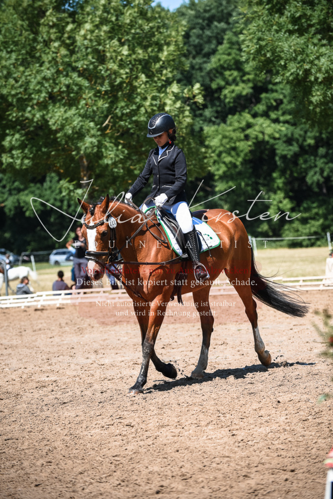 DSC_3420 | Pferde- und Turnierfotografie in Westsachsen. Pferdeportraits, Auftragszeichnungen und intuitive Kunst.