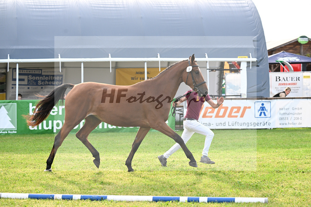 Kat-Nr. 9 Dakotan H v. Vingino_Hoffmeister_30250108 | hf-fotografie - Realisiert mit Pictrs.com