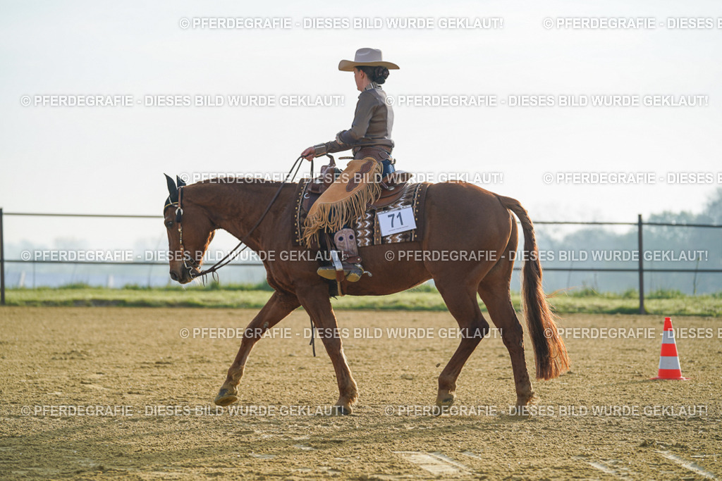 DSC09775 | Pferdegrafie