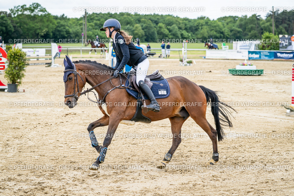 DSC05489 | Pferdegrafie