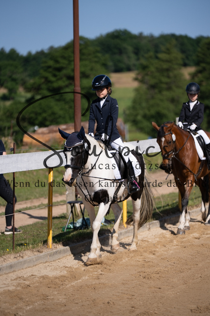 A7V07581 | Pferdefotograf