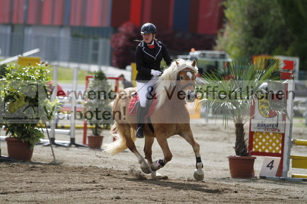 _MG_8543 | equestrian-live-com