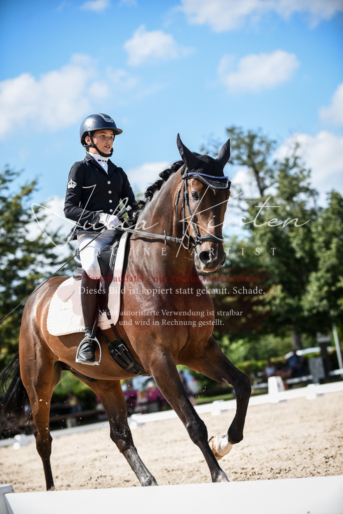 DSC_9423 | Pferde- und Turnierfotografie in Westsachsen. Pferdeportraits, Auftragszeichnungen und intuitive Kunst.