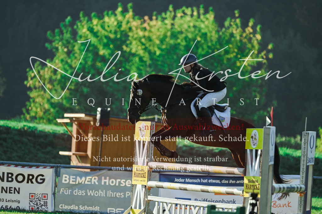 DSC_4263 | Pferde- und Turnierfotografie in Westsachsen. Pferdeportraits, Auftragszeichnungen und intuitive Kunst.