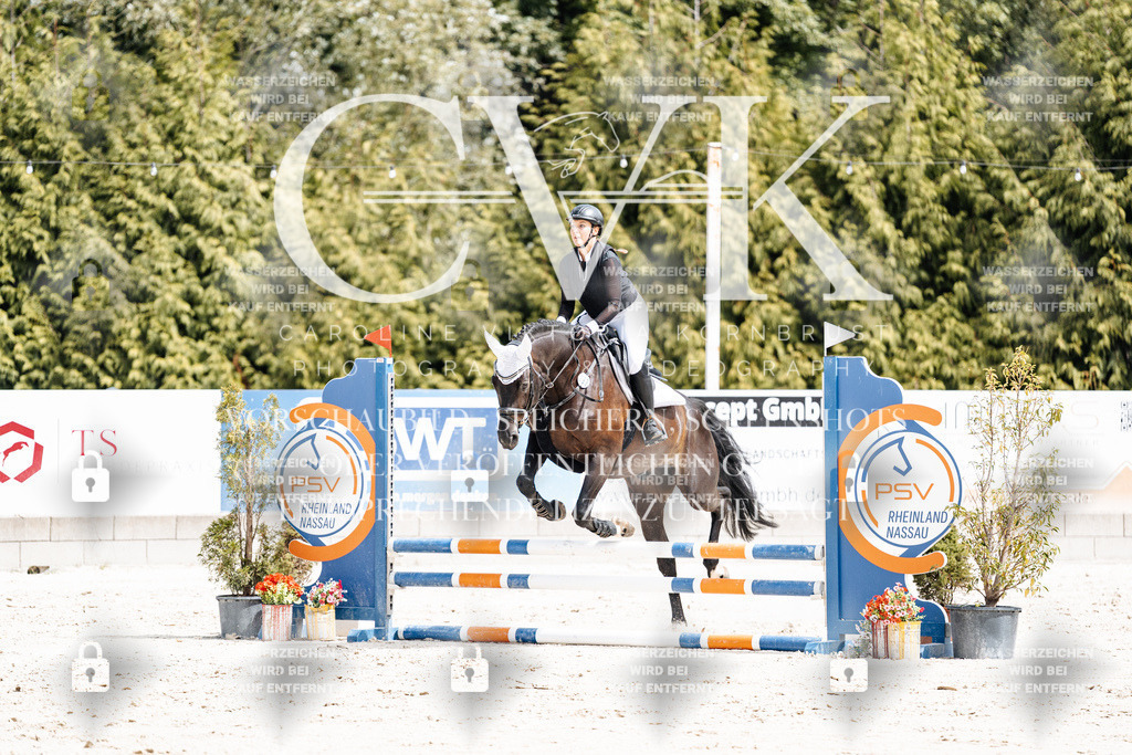 CK906637 | Turnierfotografie Pferdefotografie Trier Rheinland-Pfalz Pferdesport Reitsport Tierfotografie Sportfotografie Pferdevideo Pferdevideografie Equestrianvideography equestrianphotography  - Realisiert mit Pictrs.com