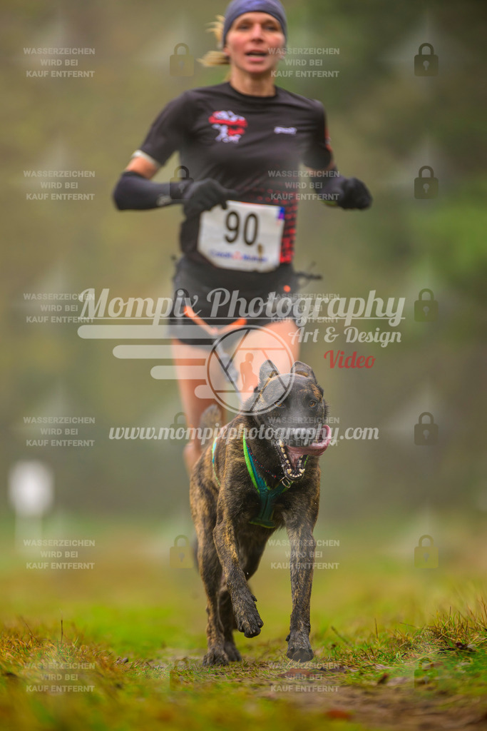 MompixPhotography_Bischwiller2025_Canicross-124 | mompixphotography