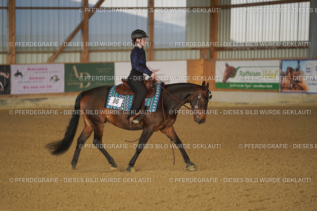 DSC08131 | Pferdegrafie