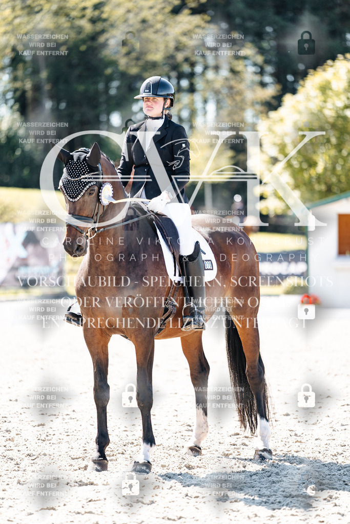 CK904240 | Turnierfotografie Pferdefotografie Trier Rheinland-Pfalz Pferdesport Reitsport Tierfotografie Sportfotografie Pferdevideo Pferdevideografie Equestrianvideography equestrianphotography  - Realisiert mit Pictrs.com