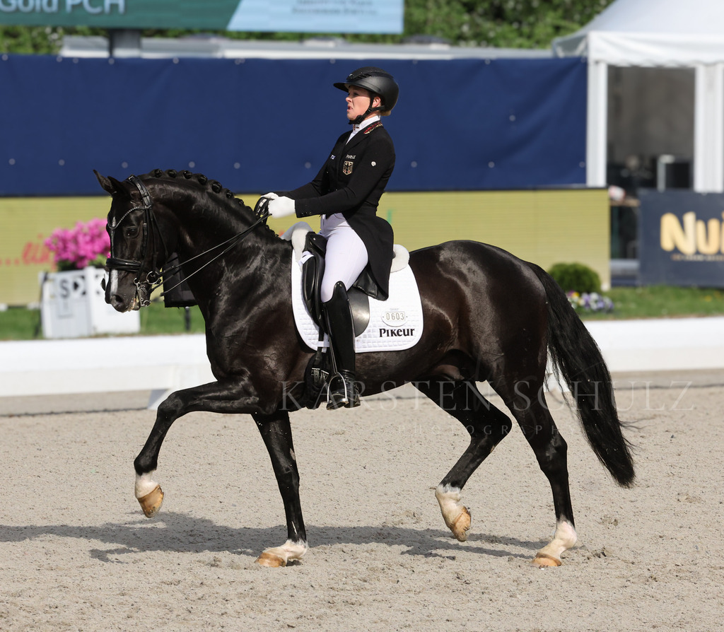 1B3A0013 | Karsten Schulz - Photography