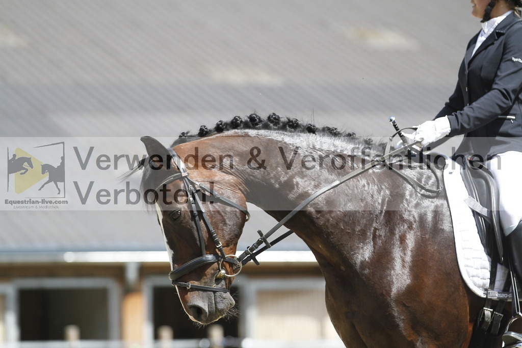 _MG_0827 | equestrian-live-com