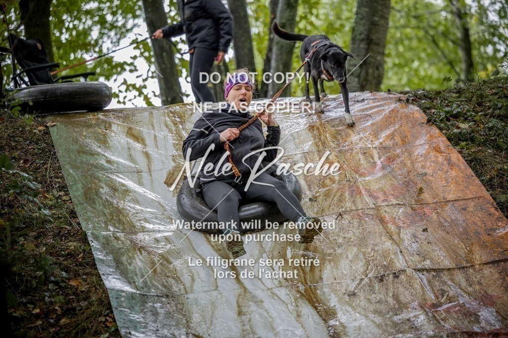 nelerasche_Hunsrück_Sa1430-1500_298-final | nelerasche