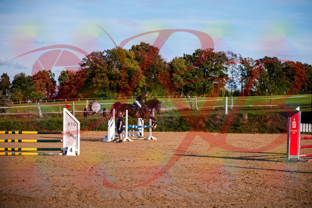 2026_10_03_Siefer-Hof_171044_Z81_07677906 | Professionelle Reitsport-, Turnier- und Eventfotografie von Robert Broda. Galerien mit ausgewählten und bearbeiteten Bildern direkt online ansehen und bestellen.