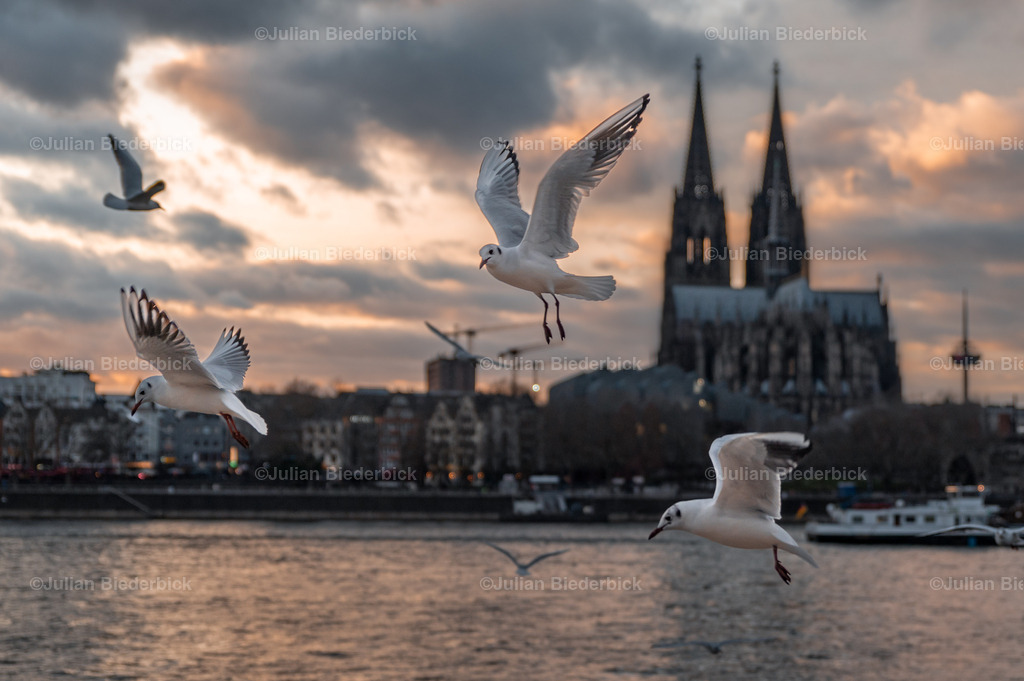 N78_1497-Edit | Julian Biederbick - Realisiert mit Pictrs.com