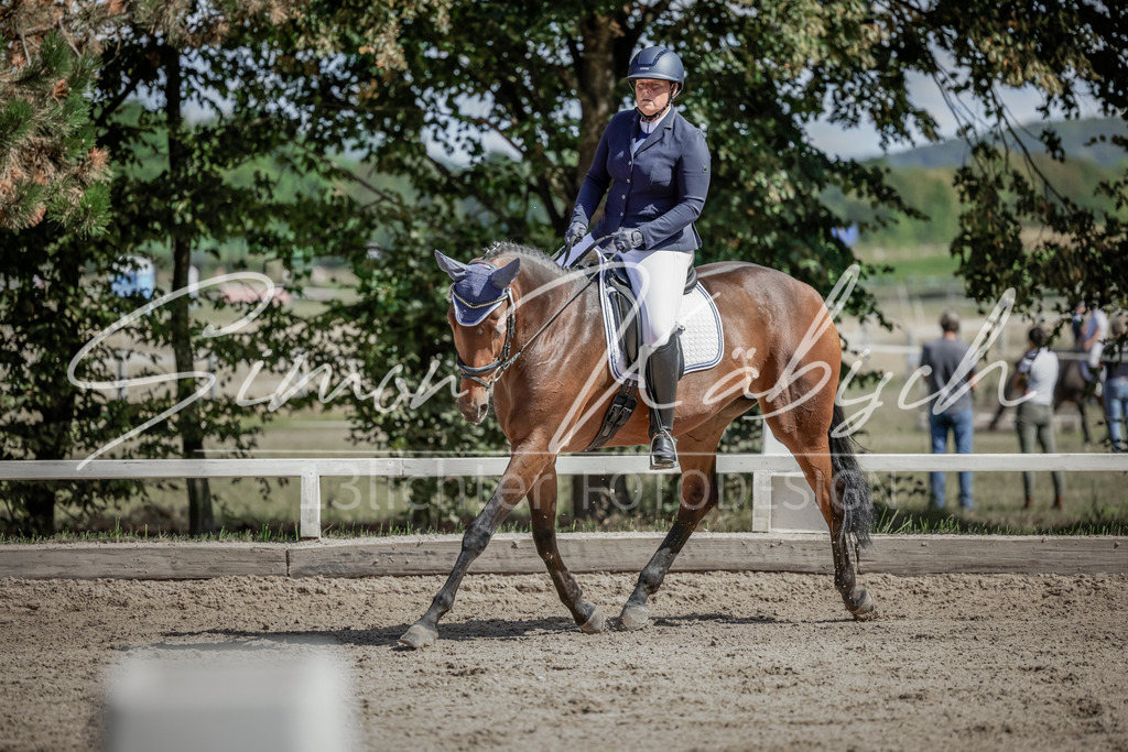 20250906-_3LI4827 | Tierfotografie Pferde, Hunde, Katzen, Haustiere.
Turnierfotografie Reitturniere, Reiten, Springreiten, Dressur in Hanau, dem Main-Kinzig-Kreis und dem Rhein-Main- Gebiet um Frankfurt